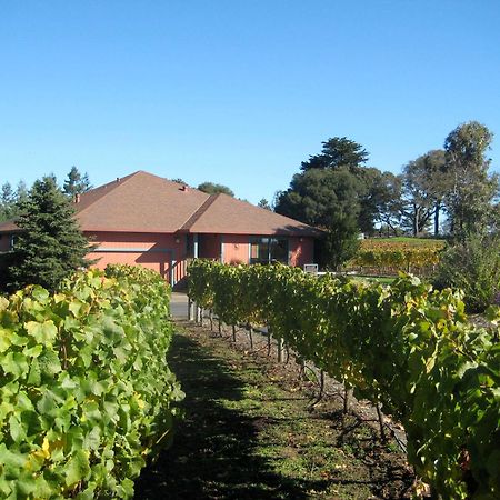 Pearlessence Vineyard Inn セバストポル エクステリア 写真