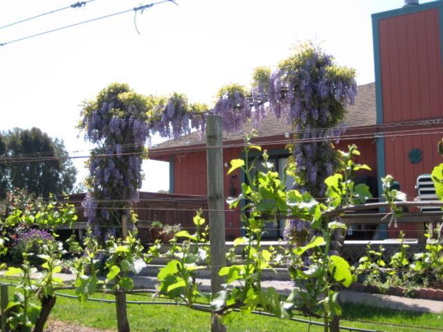 Pearlessence Vineyard Inn セバストポル エクステリア 写真